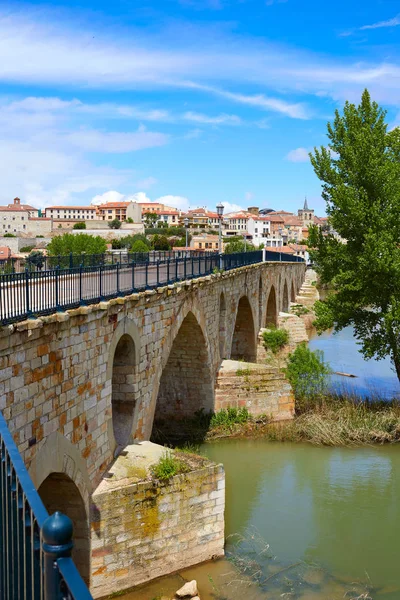 Zamora Puente de Piedra stone bridge on Duero — стокове фото