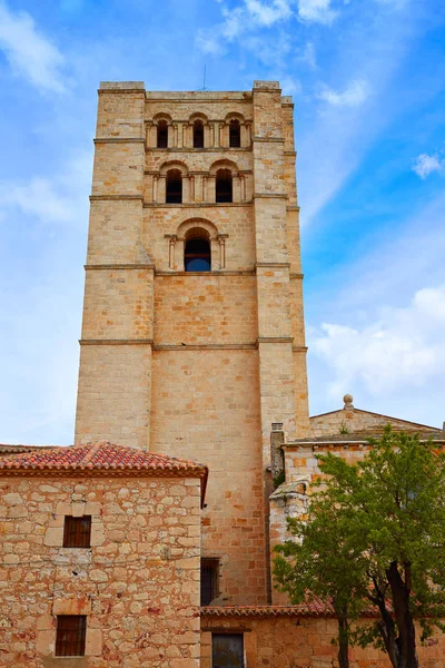 Καθεδρικός Ναός Zamora Ισπανία από Via de Λα Plata — Φωτογραφία Αρχείου
