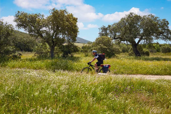 Via de la Plata manier biker naar Santiago in Spanje — Stockfoto