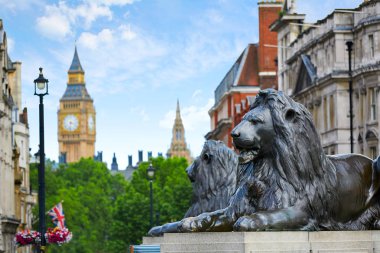 İngiltere'de London Trafalgar Square aslan