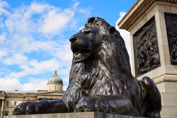 London Trafalgar Square Lion in UK