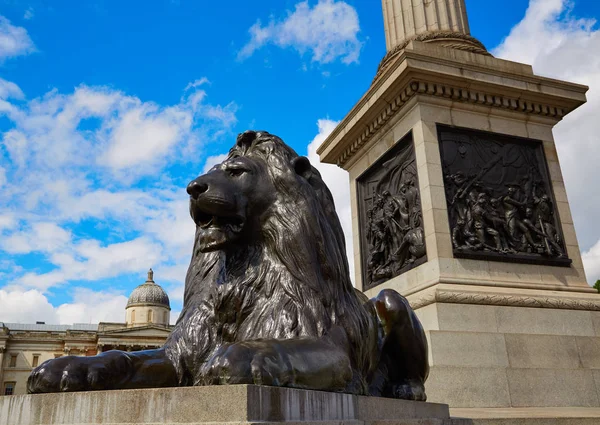 在英国伦敦特拉法加广场狮子 — 图库照片