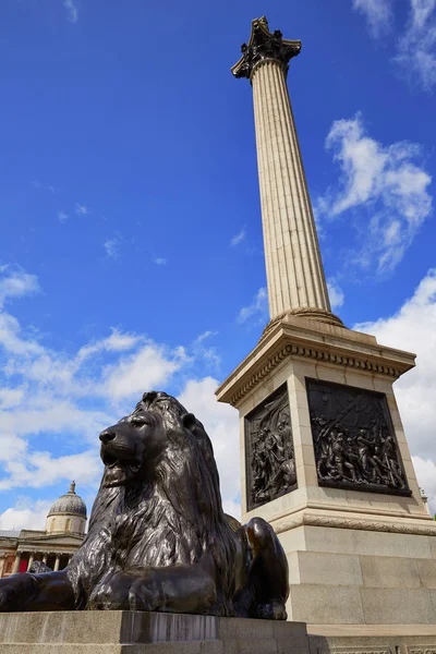 Πλατεία Τραφάλγκαρ του Λονδίνου λιοντάρι στο Ηνωμένο Βασίλειο — Φωτογραφία Αρχείου