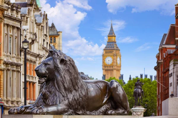 Londra Trafalgar Square Lion nel Regno Unito — Foto Stock