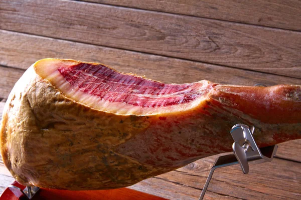 Iberian ham pata negra from Spain — Stock Photo, Image