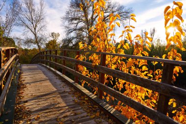 Gün batımı sonbahar ahşap köprü Parque de Turia