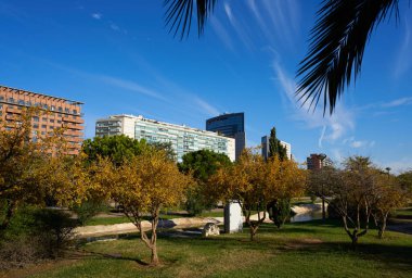 Parkta Valencia modern şehir manzarası 