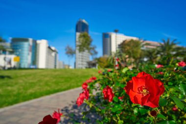 Parkta Valencia modern şehir manzarası 