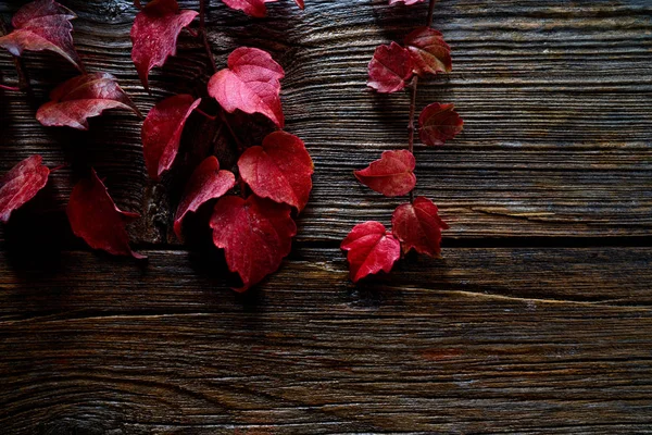 Otoño caída hojas rojas sobre madera —  Fotos de Stock