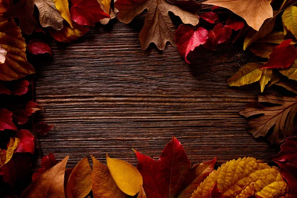 Autumn fall frame golden red leaves on wood — Stock Photo, Image