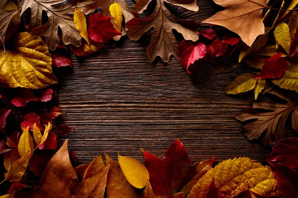 Hösten ram gyllene röda blad på trä — Stockfoto