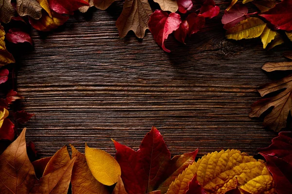 Őszre kelve arany keretben piros levelek a fa — Stock Fotó