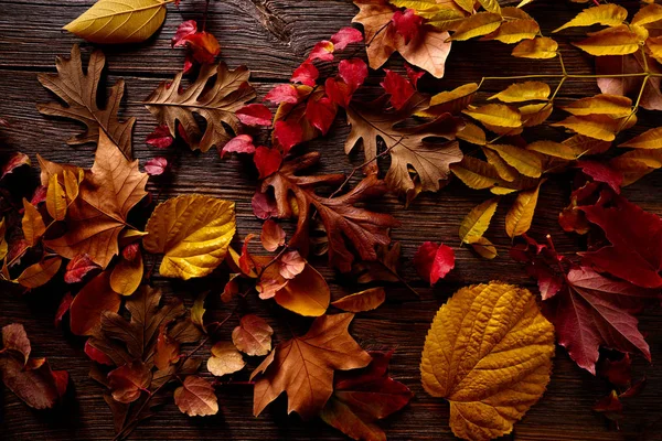 Autumn fall golden red leaves on wood — Stock Photo, Image