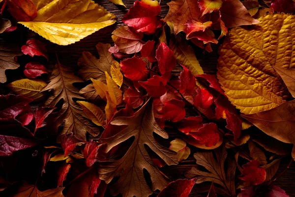 Autumn fall golden red leaves on wood — Stock Photo, Image