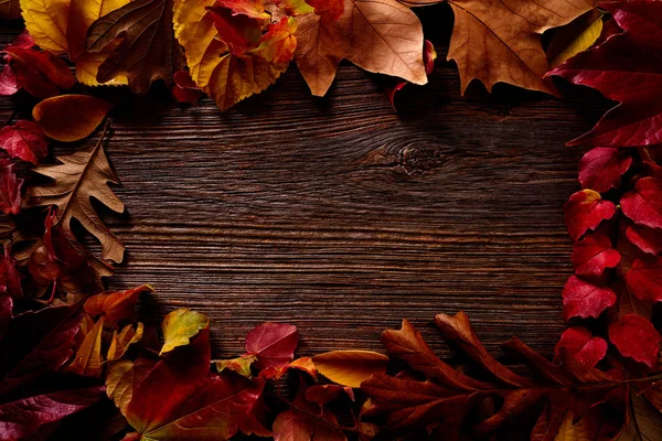 Autumn fall frame golden red leaves on wood — Stock Photo, Image