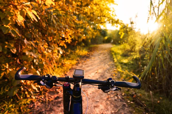 自行车上的瓦伦西亚公园日落公园德图里亚 — 图库照片