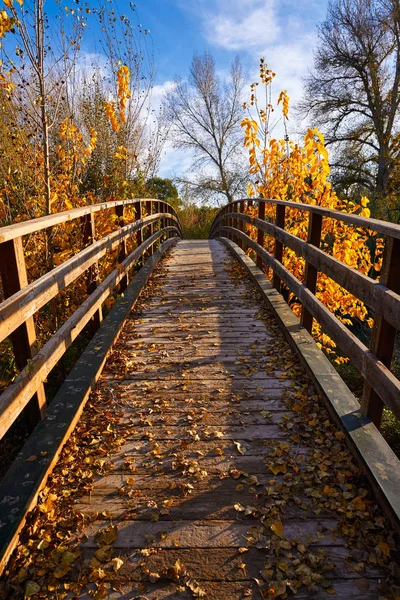 Sunset autumn wood bridge Parque de Turia — Stock Photo, Image