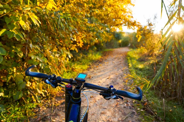 Parque de Turia Valencia park günbatımı Bisiklet