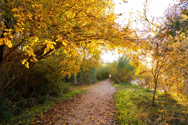 Západ slunce na podzim Parque del Turia Valencie — Stock fotografie