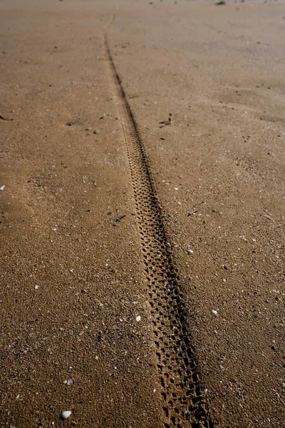 Empreinte de pneus sur sable de plage — Photo