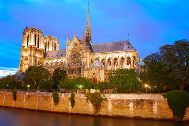 Notre Dame Katedrali günbatımı Paris Fransa