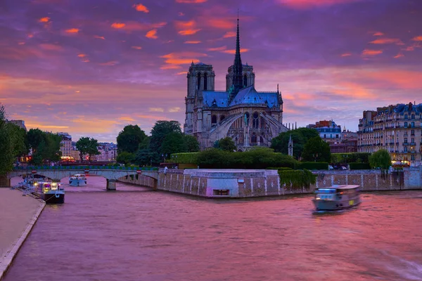 Katedralen Notre Dame Paris solnedgång vid Seine — Stockfoto