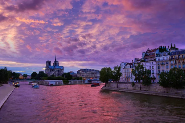 Katedralen Notre Dame Paris solnedgång vid Seine — Stockfoto