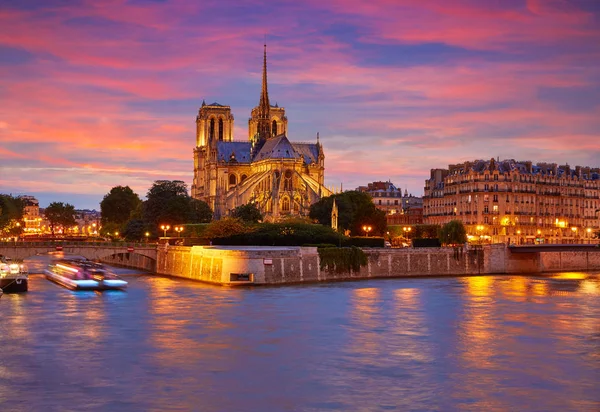 Catedral de Notre Dame Pôr-do-sol de Paris no Sena — Fotografia de Stock