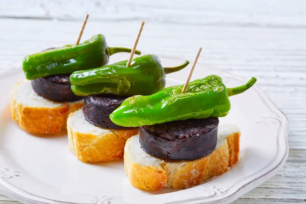 Pinchos Burgos morcilla with padron pepper — 스톡 사진