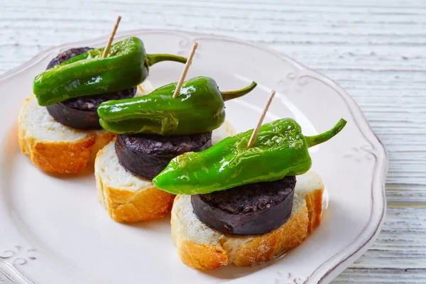 Pinchos Burgos morcilla with padron pepper — 图库照片