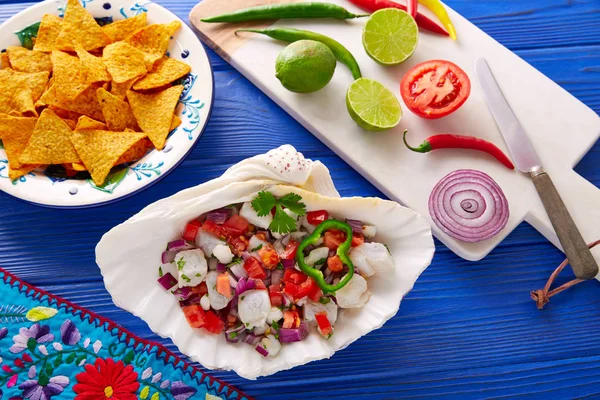 Receta de estilo mexicano de ceviche con nachos —  Fotos de Stock