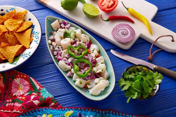 Cips ile Ceviche Meksika stili tarifi — Stok fotoğraf