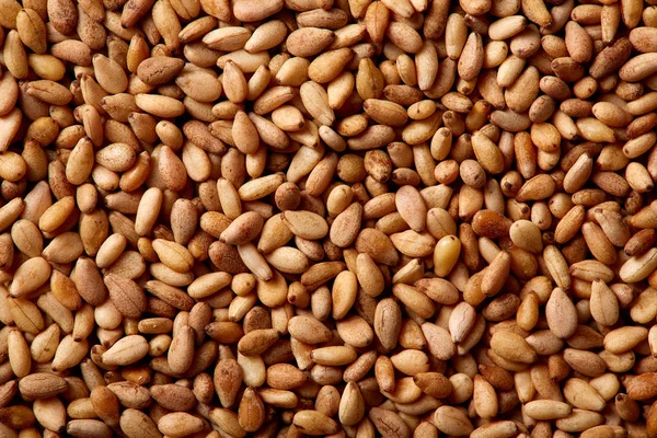 Sesame seeds texture macro detail — Stock Photo, Image