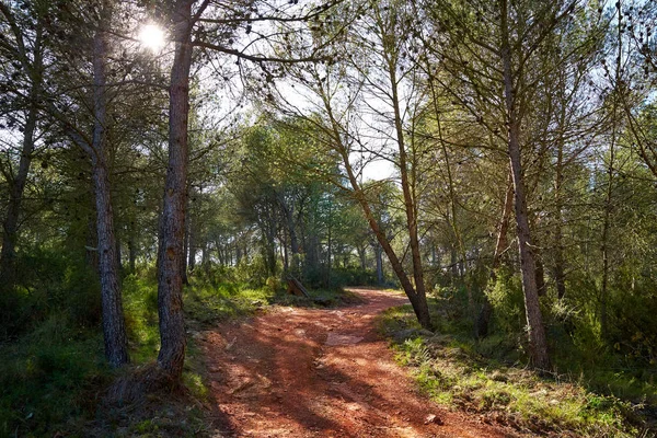 Sierra Calderona montagne a Valencia — Foto Stock