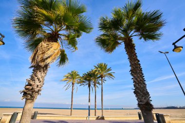 Valencia La Malvarrosa beach arenas Spain