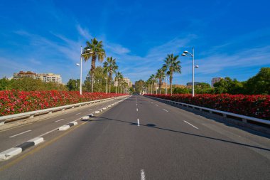 Valencia Puente de las Flores flowers bridge