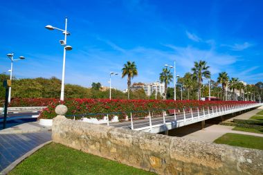 Valencia Puente de las Flores flowers bridge