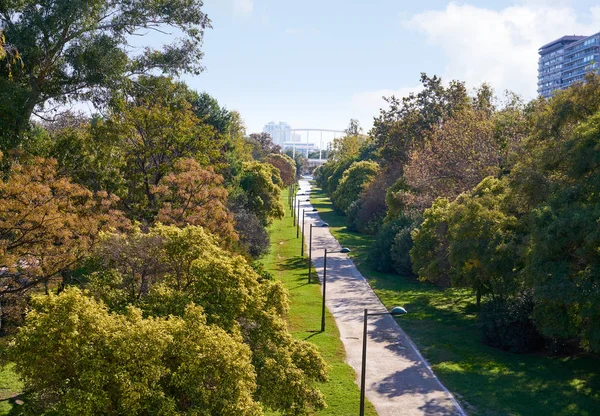 Valencia Turia parco giardini vista — Foto Stock