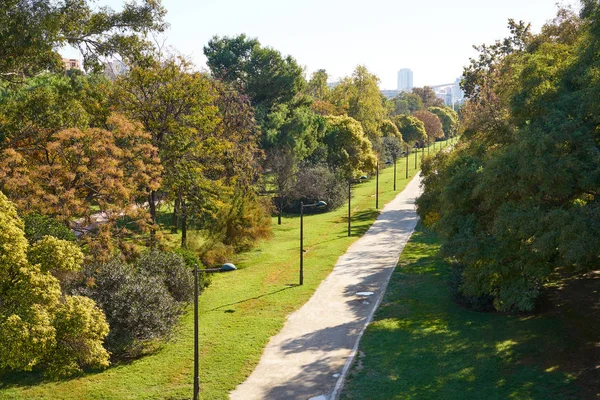 Valencia Turia park bahçeler görüntülemek — Stok fotoğraf