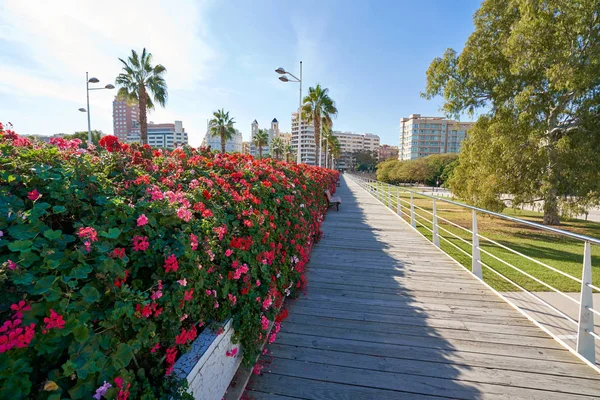 Valencia Puente de las Flores flowers bridge — 스톡 사진