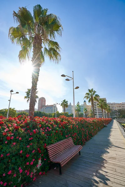 Valencia Puente de las Flores flowers bridge — Stock Photo, Image