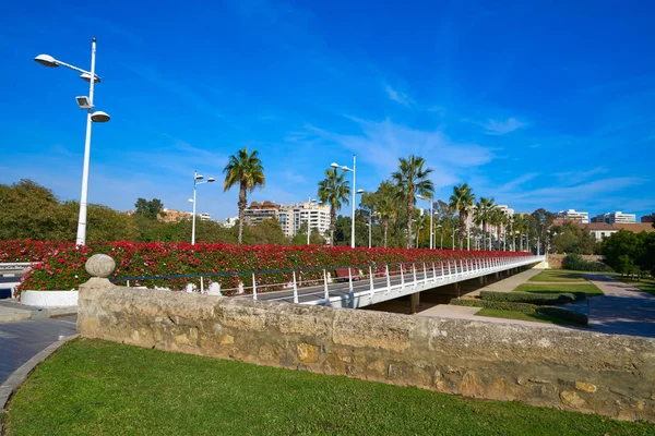 Valencia Puente de las Flores flowers bridge — 图库照片