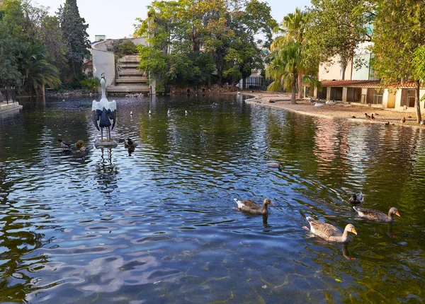 Enten im viveros park teich von valencia — Stockfoto