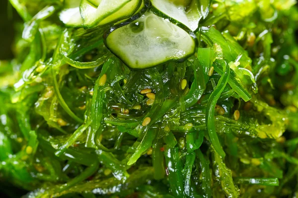 Salada de algas com gergelim de pepino e soja — Fotografia de Stock