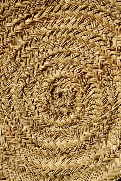 Esparto halfah grass used for crafts basketry — Stock Photo, Image