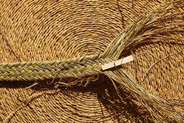 Esparto halfah trawy użyte dla rzemiosła wikliny — Zdjęcie stockowe