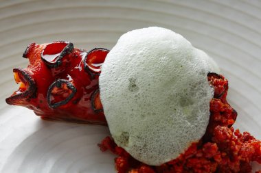 Maydanoz hava köpük Şef Izgara ahtapot 