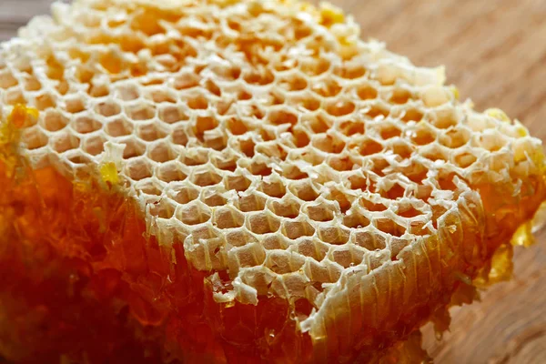 Túrós alvadék méhsejt méz — Stock Fotó
