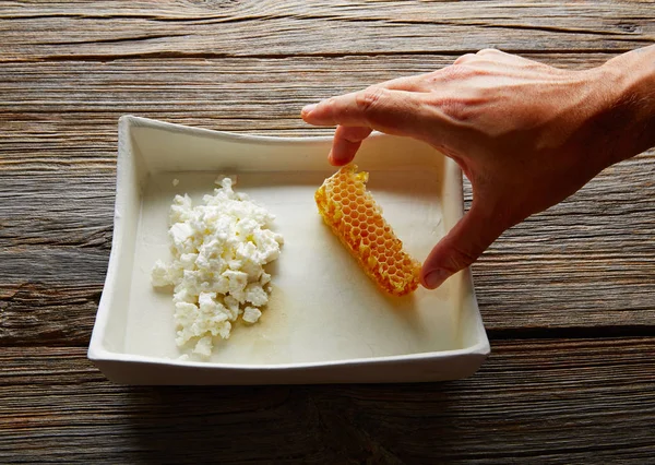 Cottage cheese curd with Honey honeycomb — Stock Photo, Image