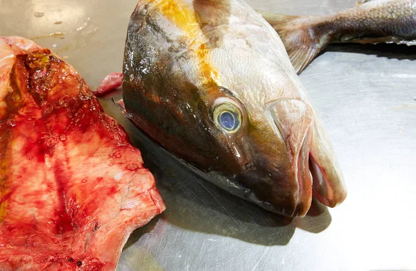 Amberjack paslanmaz çelik işleminde fileto balık — Stok fotoğraf